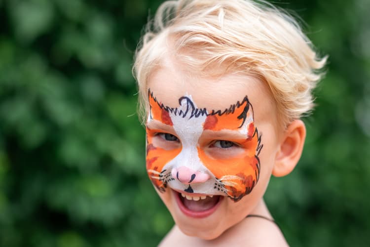 Zvířecí Facepainting